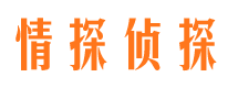 合作外遇出轨调查取证